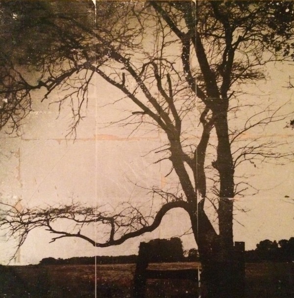 tree near schoolhouse by Lisa Bertagna
