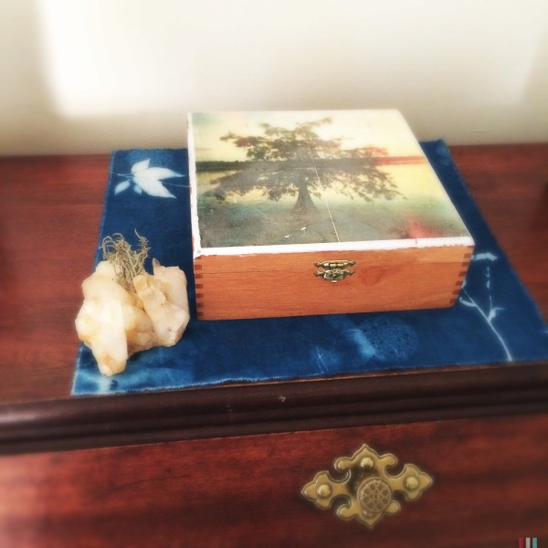 custom transfer on found cigar box by Lisa Bertagna