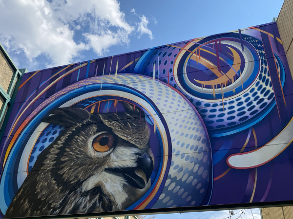 Owl Mural by AJ Davis