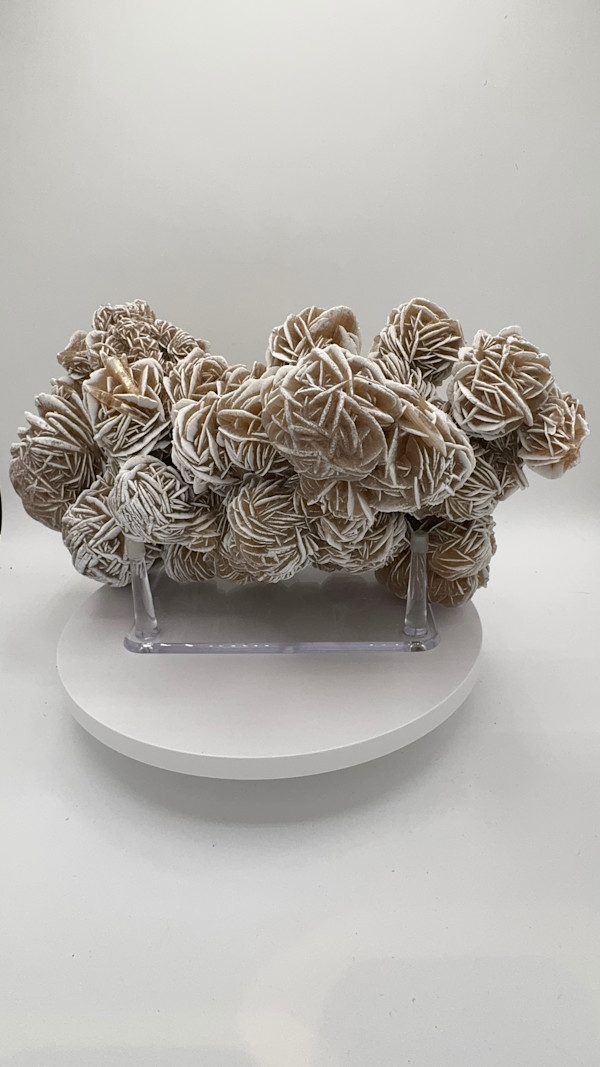 Desert Rose Selenite Mineral Cluster
