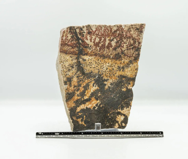 Double-sided Utah dendrite