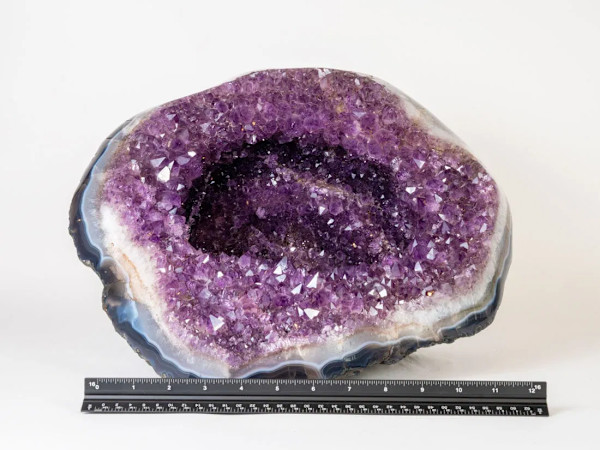 Deep Purple Amethyst Geode with a Polished Rim