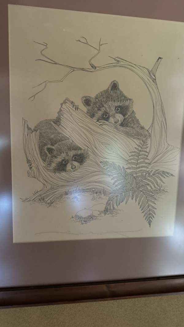 “Raccoons in the Forest” by Unknown