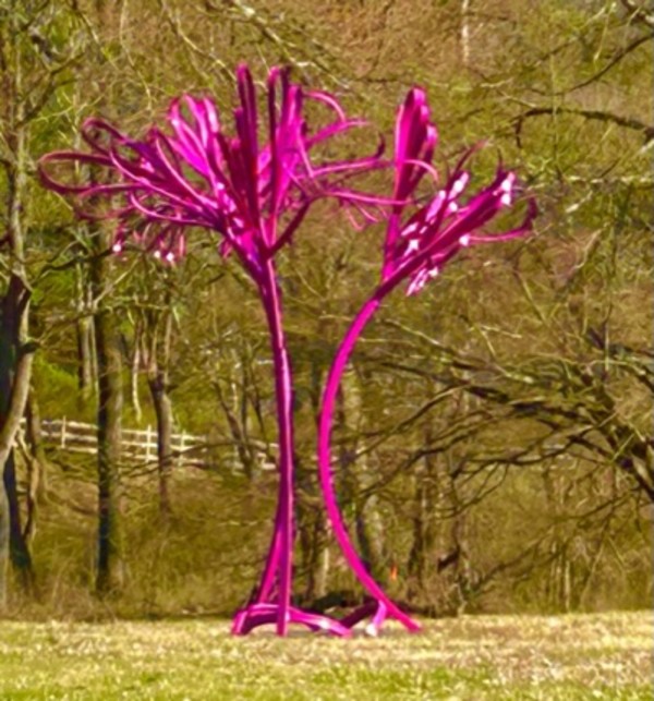 Fuschia Squirt installation in fall. by Vivien Collens