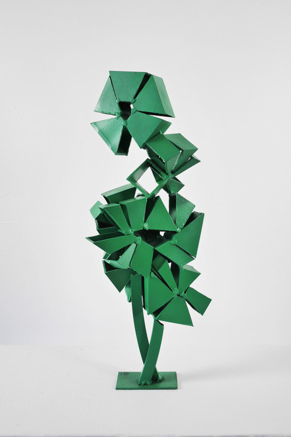 greenhouse series: green pinwheel. by Vivien  Collens