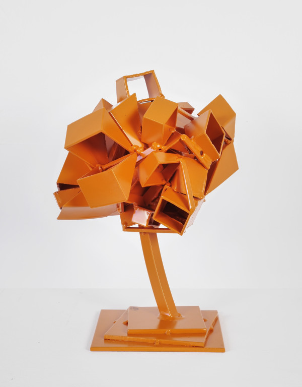 orange bonzai by Vivien  Collens