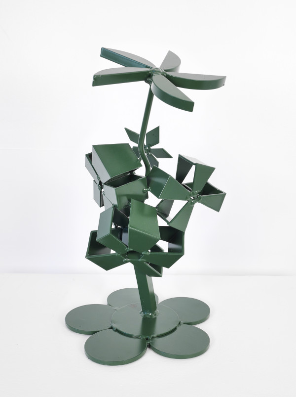 Greenhouse series. 2019 . plant with  petal base. by Vivien  Collens
