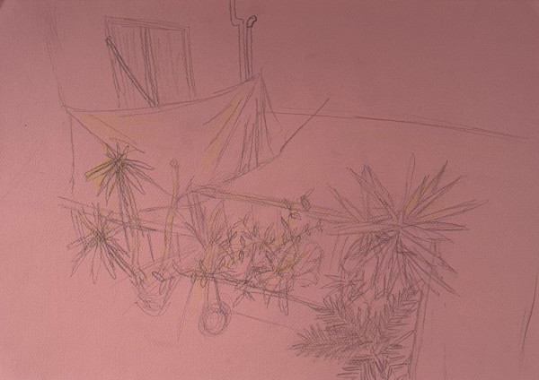 Plants in Venice by Drue Leahy