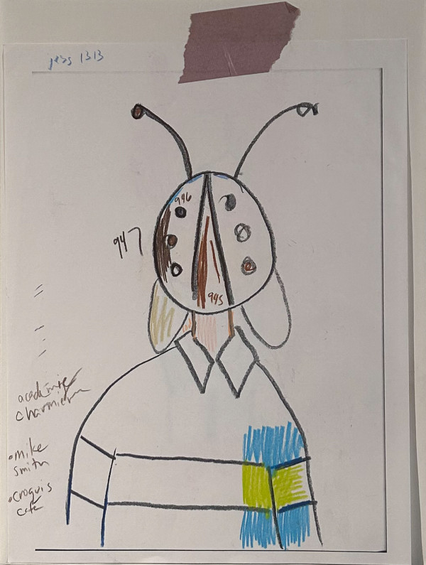 Bug Boy by Drue Leahy
