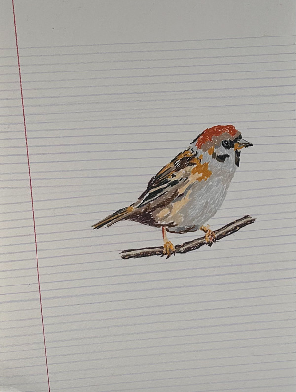 Sparrow by Drue Leahy