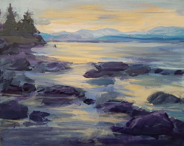 Sunset Rocks by Nanci Cook