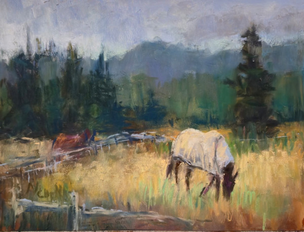 North Island Stables by Nanci Cook