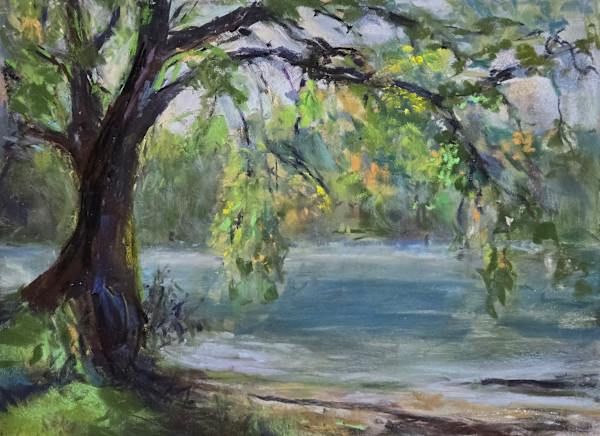 Heriot Bay Maples by Nanci Cook, PAC, Image 1.