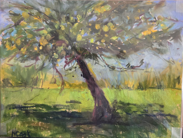 Sybil's Apple Tree by Nanci Cook, PAC, Image 1.
