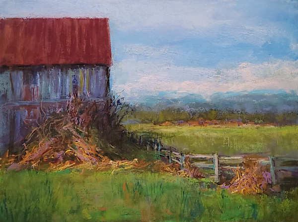 Comox Valley Barn by Nanci Cook