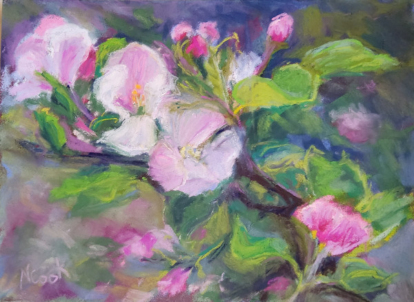 Pink Backyard Blossoms by Nanci Cook