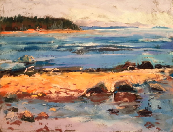 Tidal Shift by Nanci Cook