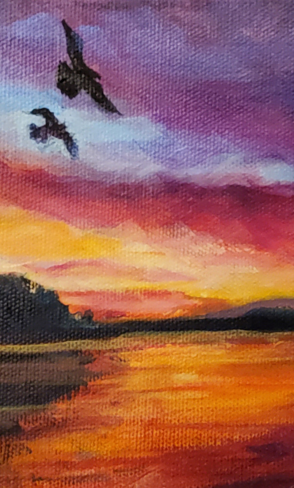 Sunset from the Cove by Nanci Cook