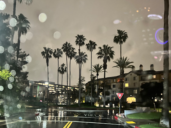 Rain in by Kimberly Marnell, Image 1.