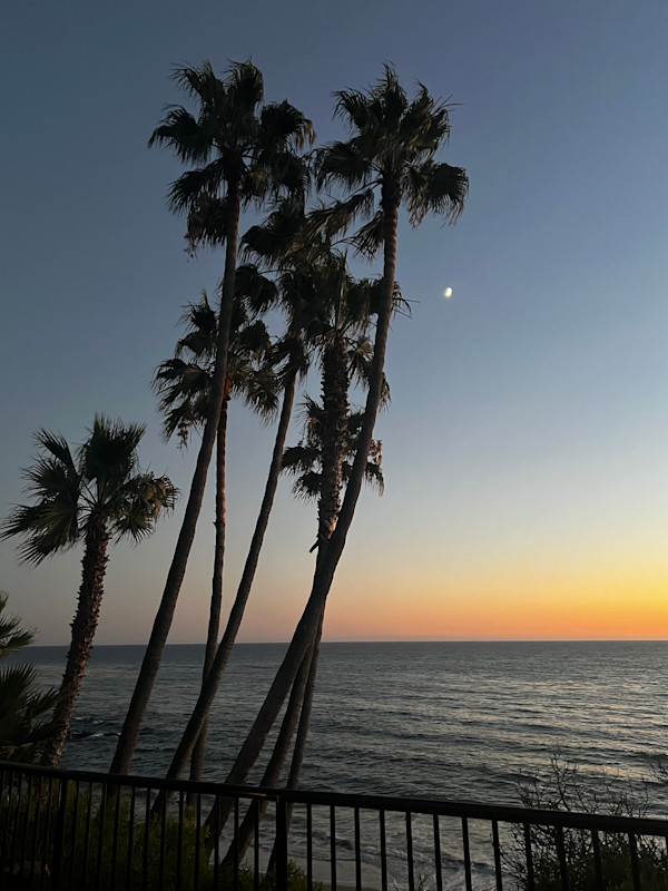 Laguna Beach by Kimberly Marnell, Image 1.