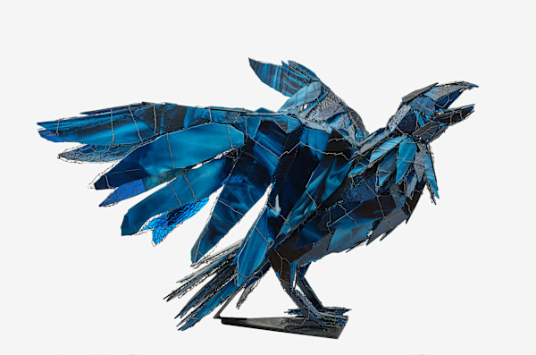 Ocean Sky Raven by Joan Danziger