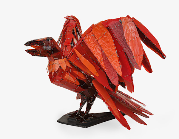 Inferno [Raven series] by Joan Danziger