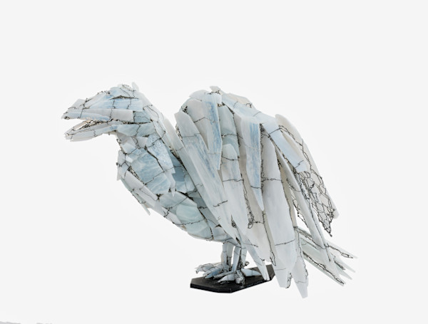 Snow Crystal Raven by Joan Danziger