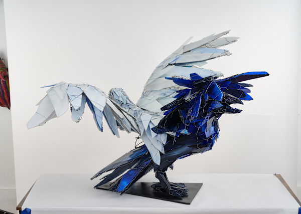 Spirits in flight (Two Ravens) by Joan Danziger