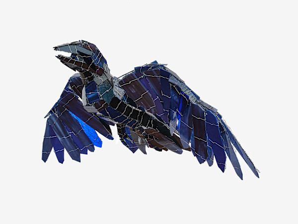 Cloud Raven (formerly Night Raven) (formerly Shadow Raven) by Joan Danziger