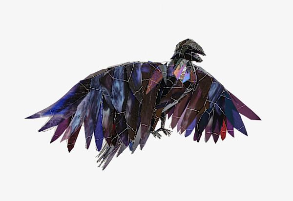 Huntress Raven by Joan Danziger