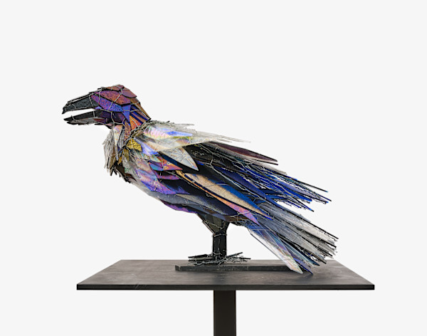 Rainbow Raven by Joan Danziger