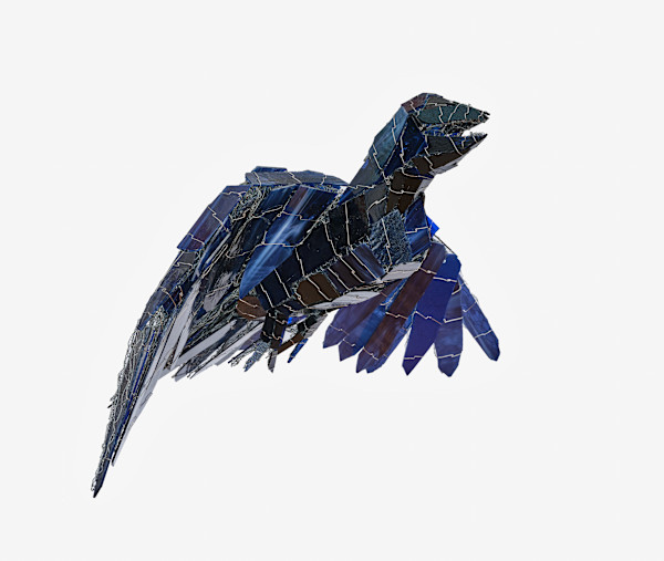 Night Raven by Joan Danziger