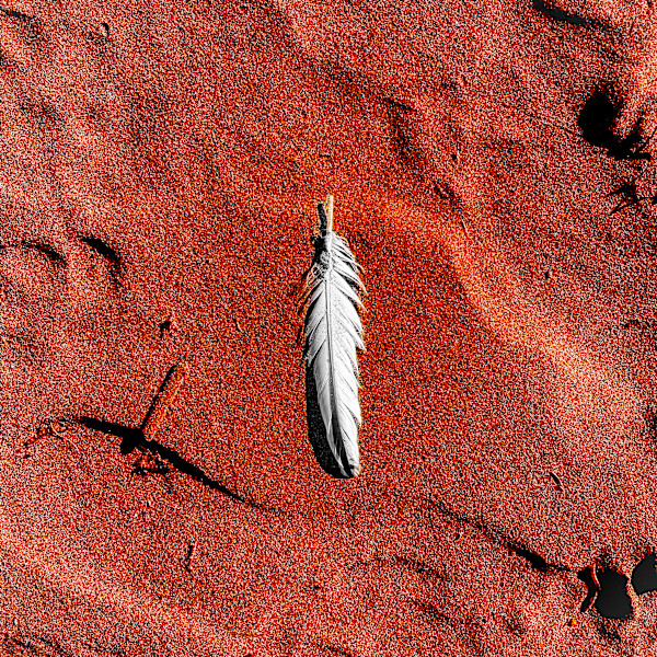 Seaside Finds VIII by Sharon E. Smith