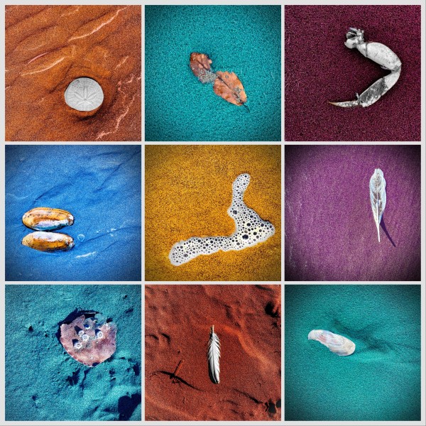 Seaside Finds by Sharon E. Smith