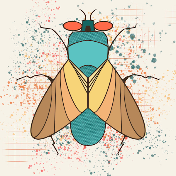 Fly by Sharon E. Smith