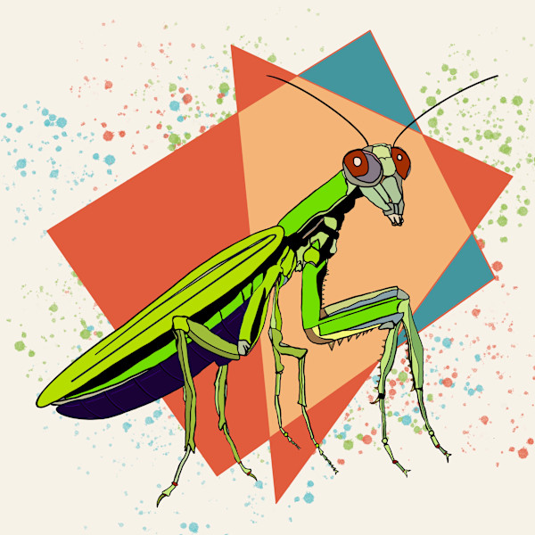 Praying Mantis by Sharon E. Smith