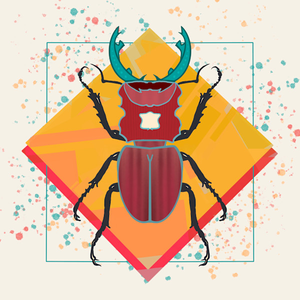 Beetle II by Sharon E. Smith