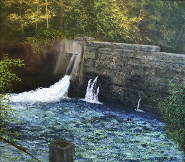 Skaneateles Falls 2 by Michael W Field