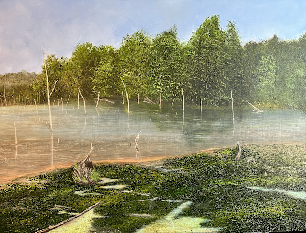 Red Mill Road Swamp by Michael W Field