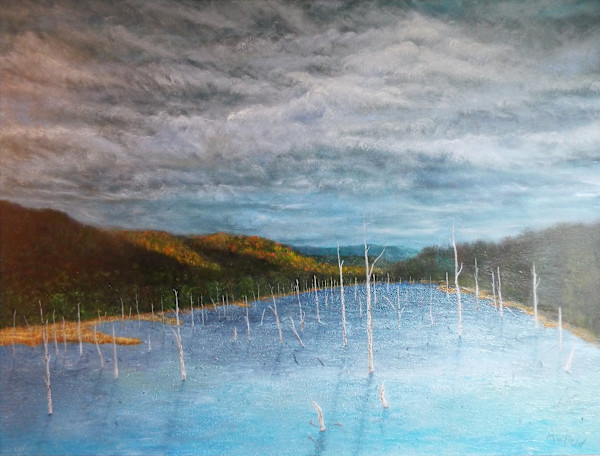 Moody Red Mill Swamp by Michael W Field