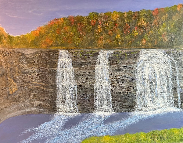 Salmon River WaterFalls by Michael W Field