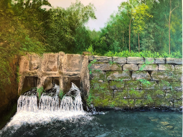 Skaneateles Falls by Michael W Field