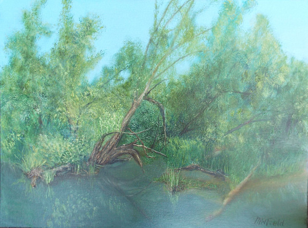A little pond in Fabius by Michael W Field