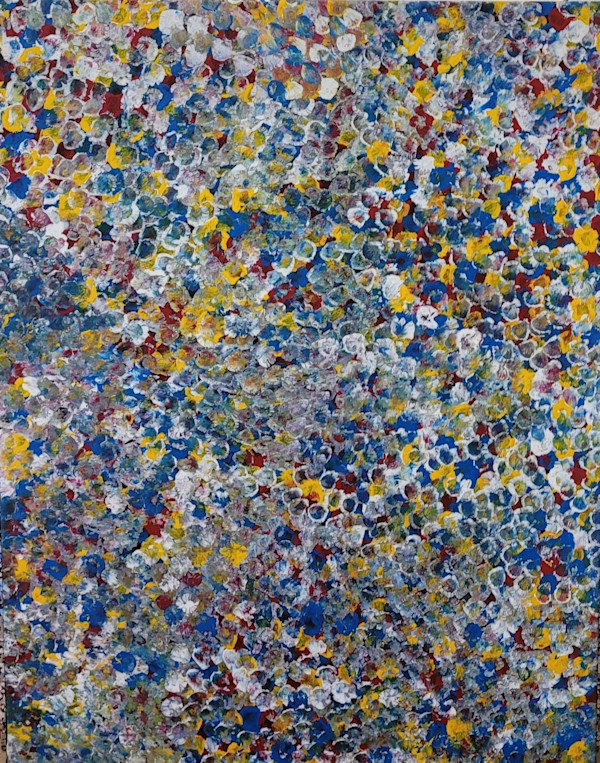 Bush plum Dreaming by Belinda Golder Kngwarreye