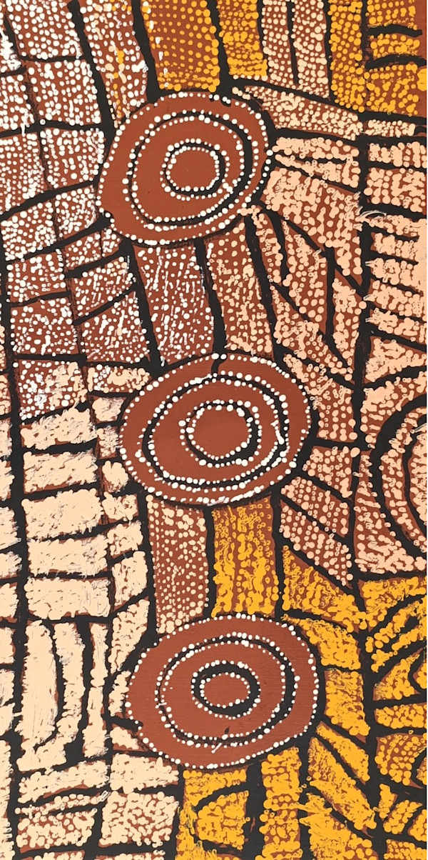 Mina Mina by Mary Brown Napangati