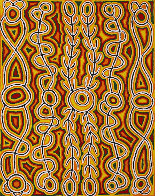 Sans titre by Judy Watson Napangardi