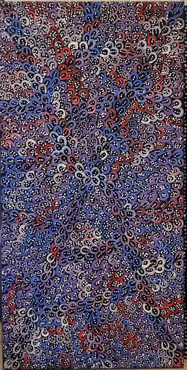 Bush Yam Dreaming by Naomi Price