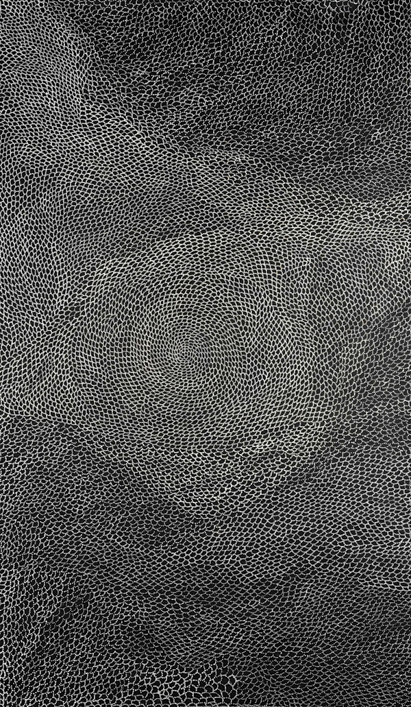 Bush seeds by Dulcie Long Pwerle