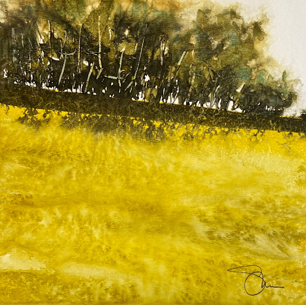 In the Limelight by SteveGriggsWatercolor