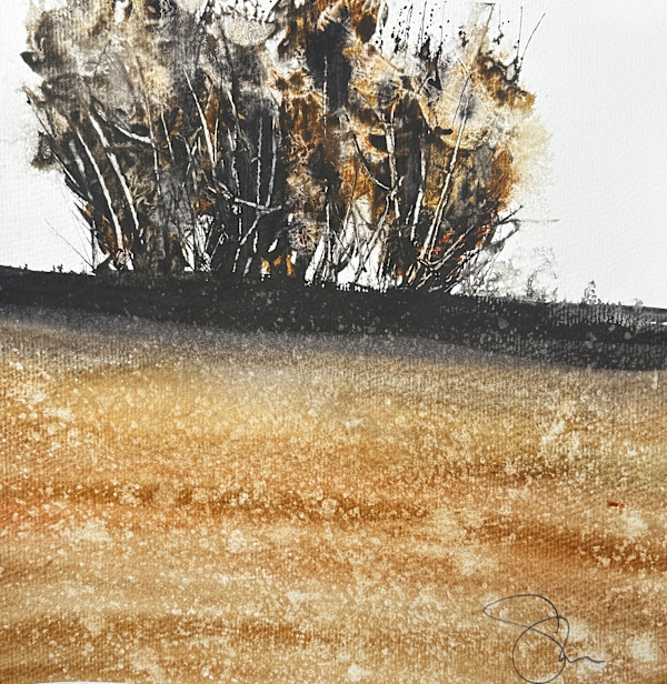 Out on a Limb by Steve Griggs Watercolor